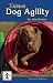 Enjoying Dog Agility (Kennel Club Pro)