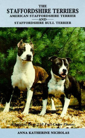 American Staffordshire Terrier