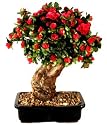 Bonsai Boy's Artificial Azalea Bonsai Tree - Large<br>