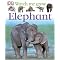 Elephants: The Pachyderm Parade