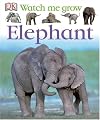 Elephant (Watch Me Grow)