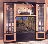 Entertainment Center Odyssey Collection for Rear Projection TV - Black and Autumn Maple