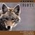 The World of the Coyote