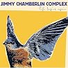 Image of album by Jimmy Chamberlin