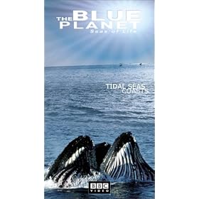 Buy The Blue Planet - Seas Of Life (Part 4) now!