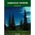 Northwest Conifers: A Photographic Key