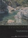 Brushwork Essentials