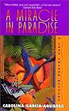 A Miracle in Paradise: A Lupe Solano Mystery (Lupe Solano Mysteries)