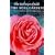 The Rose Garden (The Gulistan) of Shekh Muslihu'd-Din Sadi of Shiraz