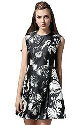 General Print Spring 2015 Sleeveless Bubble Dress  Dress
