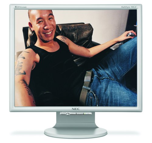 NEC MultiSync 90GX2 19 LCD Monitor