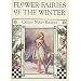 Flower Fairies of the Winter
