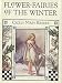 Flower Fairies of the Winter