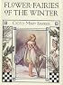 Flower Fairies of the Winter (Flower Fairies)