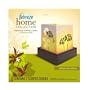 Febreze Home Collections Flameless Luminary Refill, 2-Count Boxes (Pack of 3)