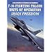 F-16 Fighting Falcon Units of Operation Iraqi Freedom (Combat Aircraft)