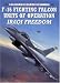 F-16 Fighting Falcon Units of Operation Iraqi Freedom (Combat Aircraft)