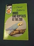 Birds and reptiles at the zoo