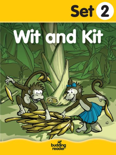 Budding Reader Book Set 2: Wit and Kit (Ten Books)