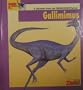 Looking At...Gallimimus: A Dinosaur from the Cretaceous Period (New Dinosaur Collection)