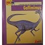 Looking At...Gallimimus: A Dinosaur from the Cretaceous Period (New Dinosaur Collection)