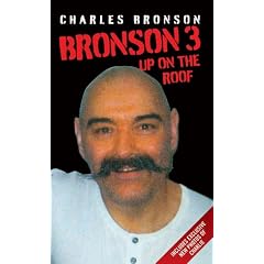 Bronson 3: Up on the Roof