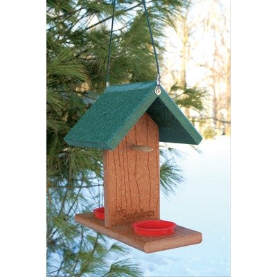 Going Green Oriole and Bluebird Feeder