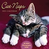 Cat Naps 2005 Calendar image