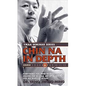 Chin Na In Depth 6