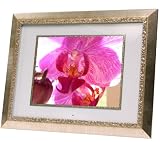 Digital Spectrum MemoryVue 1500 U-30317 15 Digital Picture Frame (Gold)