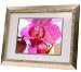 Digital Spectrum MemoryVue 1500 U-30317 15 Digital Picture Frame (Gold)