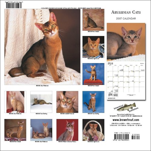 Abyssinian Cats 2007 Calendar