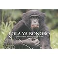 Lola ya bonobo : Le paradis des bonobos - R�publique D�mocratique du Congo
