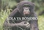 Lola ya bonobo : Le paradis des bonobos - R�publique D�mocratique du Congo