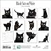 2016 Black Cats on White Calendar