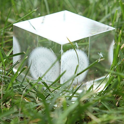 K9 Crystal Glass Cube Laser Carving Paperweight 2.36" (Dandelion)