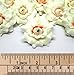 (24) Silk Cream Roses Flower Head - 1.75