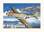 Dragon 1/32 P-51D Mustang Early Production