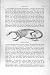 Natural History 1894-95 Indian Pangolin Skeleton Print