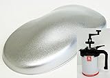 関西ペイントPG80　#253 グランドメタリック（超極粗目） 1kg　自動車用ウレタン塗料　２液 カンペ　ウレタン　塗料 シルバー 銀