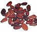 Whole Dried Cocoa Beans Unroasted 3lbs