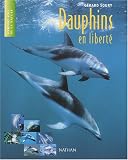 Dauphins en libert�