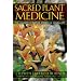 Sacred Plant Medicine: The Wisdom in Native American Herbalism
