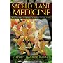 Sacred Plant Medicine: The Wisdom in Native American Herbalism