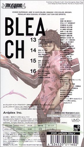 Cover image : BLEACH 死神代行篇4 [UMD]