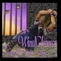 WindChance