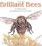Brilliant Bees