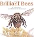 Brilliant Bees