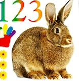 Bath Books: 1 2 3 (Bath Books)