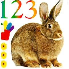 1 2 3 (Bath Books)